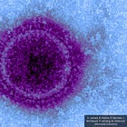 Houston Methodist Joins Gates/WEF 'AI' Self-Replicating mRNA Nipah Vaccine Push as Gates Funds Gain-of-Function Nipah Experiments