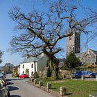 66. Meavy Oak 