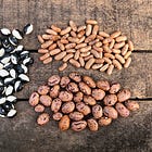 Grow delicious French and Borlotti beans for nutrition 