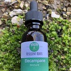 Tinctures and glycerites for sale