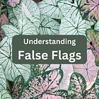 Understanding False Flags