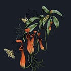 October inspiration: Witchy art 
