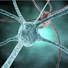 Guillain-Barré Syndrome expected from Pfizer Endotoxins