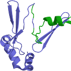 Can a gut hormone protect the brain after cardiac arrest? (GRECO trial) 