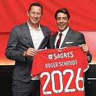 O futuro de Schmidt