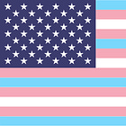 Deets On Gender-Affirming Care and Equality Amendment
