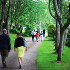 Your private invitation to our members-only event at LettsSafari's Wilded Capability Brown Gardens