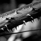 Tracker: Colombia's Armed Groups