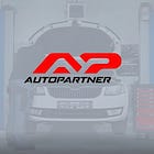 Auto Partner: Steering Around a Challenging Environment  