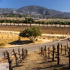 From Italy to Temecula: The Unexpected Old World Charm of SoCal Wines