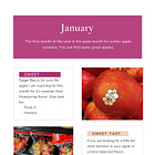 Best Apples Varieties by Month