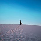Echolocation 1: The Alien Paradox
