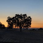 Paso Robles