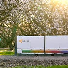 Beewise une star-up pour "sauver" les abeilles