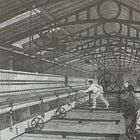 ARTICLE: Vanished Occupations: Please Sir, No More