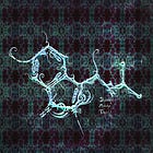 DMT & Near Death Experiences - Metastudy drawing from 7556 DMT; and 12000 NDE reports & more