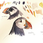 What Does The Puffin Know?