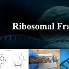 Ribosomal Frameshifting