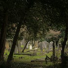 City of the Dead