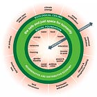 Doughnut Economics