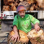 Under the Hood: The Silent Invasion — The Mediterranean Oak Borer’s Threat Grows