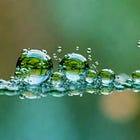 Cohesion Forces and Tools