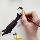 Drawing Timelapse: Atlantic Puffin