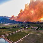 Wine Chronicles: Napa Braces for the 2025 Fire Season