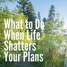 What to Do When Life Shatters Your Plans