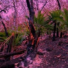 Climate Resilience: Defining and Building Capacity in the Polycrisis