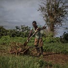 Bill Gates, Big Agriculture and the fight for the future of Africa’s farmland