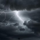 The Perfect Storm