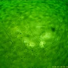 Nanotechnology found in CHEMTRAILS in RURAL AUSTRALIA!