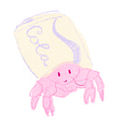 How do hermit crabs stick to their new shells?