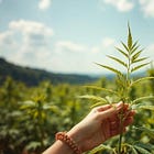 Hemp: Rediscovering Nature’s Versatile Gift - Part III - Industry Applications