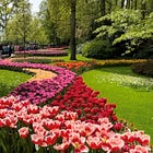 Keukenhof Tulip Gardens – A World class Event