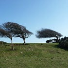 Windguest #1 - Understanding wind resource (I) 
