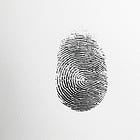 Growth is fingerprint-shaped