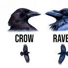 Green Wednesday: The Intelligence of Crows and Ravens + the Art of Grafting