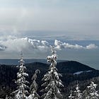Sharpen Your Skis: Business and Life Lessons on the Slopes and Beyond