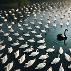 O Cisne Negro apareceu e tem nome: DeepSeek