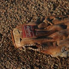 Old Baseball Glove Announces Retirement