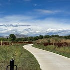 Two roads diverged and your agent took the other one