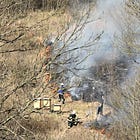 Bee Platoon mobilisé pour protéger les abeilles face aux incendies de Californie