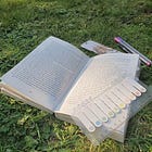 carrying books in the sunshine