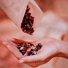 Ask the Herbalist: Herbalism for Trauma