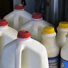 Hey clickbait headlines: pasteurization kills H5N1 flu virus in milk