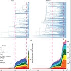 DRAFT CLARIFICATION OF THOUGHT: Historical "Effective" Male & Female Human Population Sizes, & What They Mean