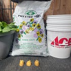 How to Grow Potatoes in 5-Gallon Buckets 