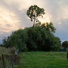Road trip oddities in regional Australia